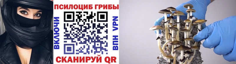 хочу   Бологое  Псилоцибиновые грибы ЛСД 